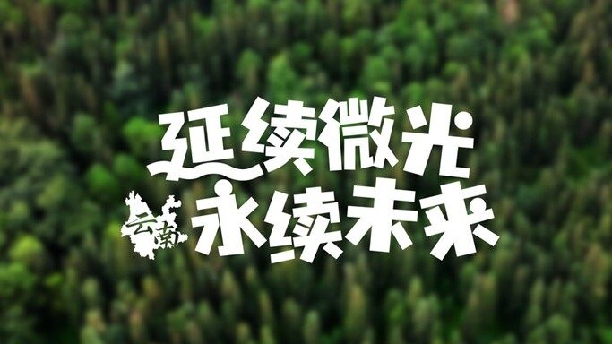 尊龙凯时 CLUB微光计划云南站｜延续微光，永驻绿意